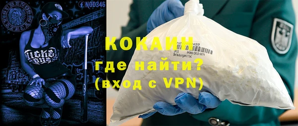 трава Сатка