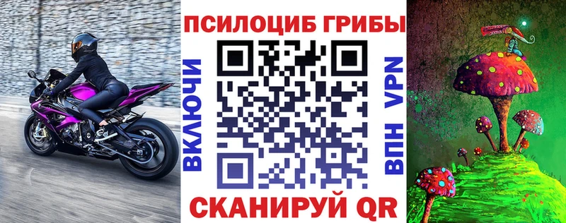 где продают наркотики  omg вход  Галлюциногенные грибы Magic Shrooms  Мариинский Посад 